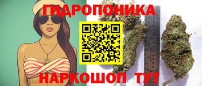 дмт Будённовск