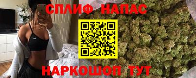 дмт Будённовск