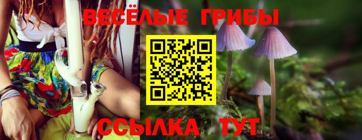 Саранск  Псилоцибиновые грибы ЛСД  Вход с VPN 